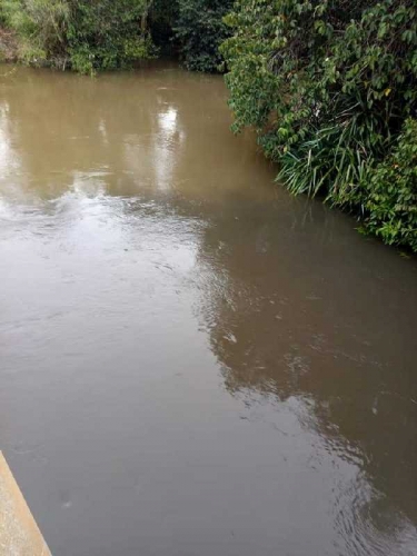PSJ Bantah Buang Limbah ke Sungai Gondai, Hidayana: Kita Sudah Pakai Line Aplikasi