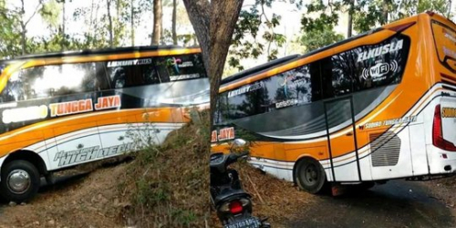 Begini Penampakan Bus Tungga Jaya yang Tersesat di Tengah Hutan dan Terjepit Pepohonan Besar