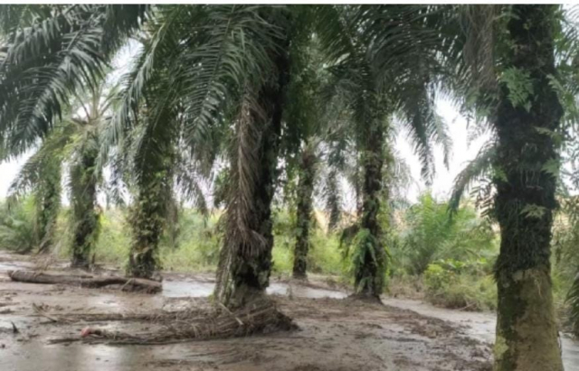 Apresiasi Kinerja Kapolda Riau, Korban Limbah PT SIPP Berharap Ada Proses Hukum