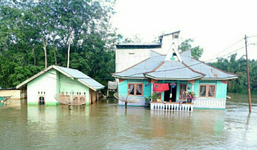 Banjir Lubuk Kembang Bunga Ukui, Puluhan Rumah Warga Terendam