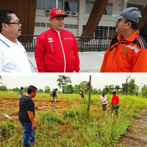 Besok, PWI Riau Tanam 500 Bibit Pohon di Stadion Utama