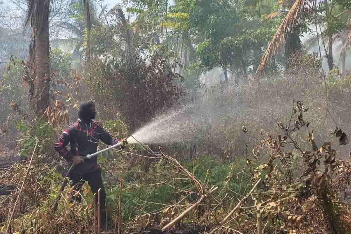 Dampak Cuaca Panas, Bengkalis Dilanda Kebakaran Lahan