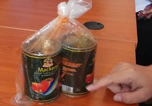 GoRiau Dinkes Riau: Cacing Sarden yang Ditemukan di Meranti dan Inhil Bisa Sebabkan Diare dan Sakit Perut