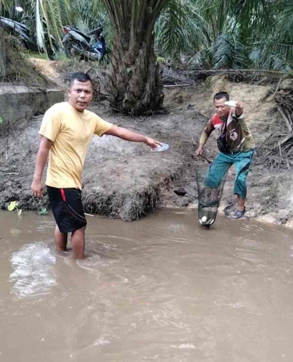 DLH Rohil Lakukan Uji Laboratorium Terkait Limbah PT HKBS yang Cemari Sungai Titi Batu