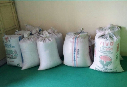 Garap Zakat Pertanian, BAZNas Meranti Berhasil Kumpulkan 700 Kg Padi di Rangsangbarat