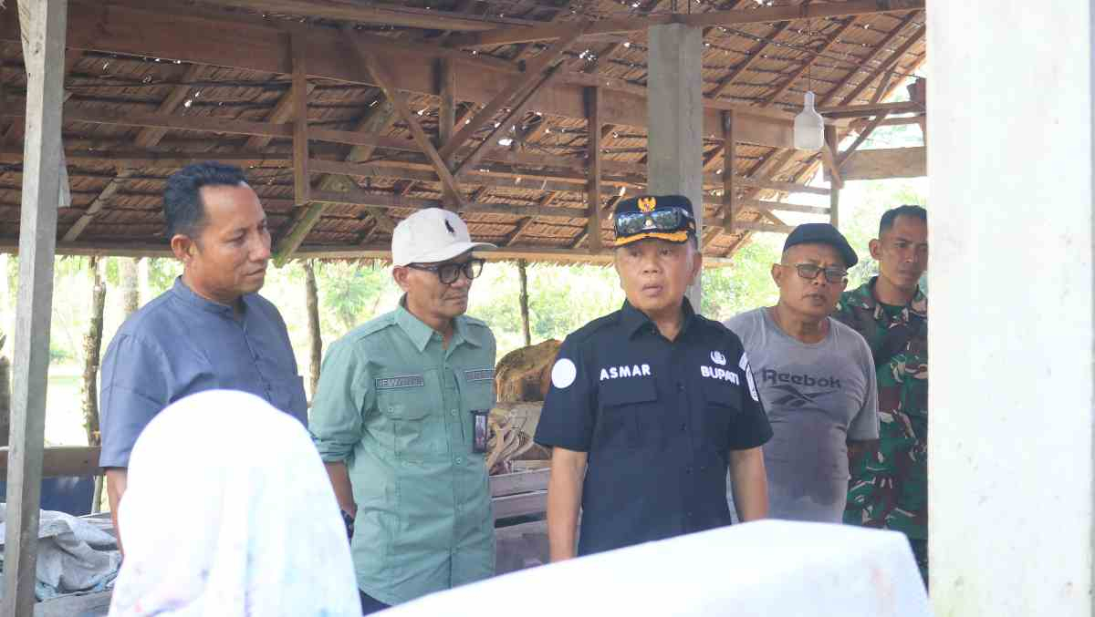 Sambut Iduladha 1447 Hijriah, Sapi Kurban Raksasa Bawa Kebahagiaan Bagi Warga Desa Gogok Meranti