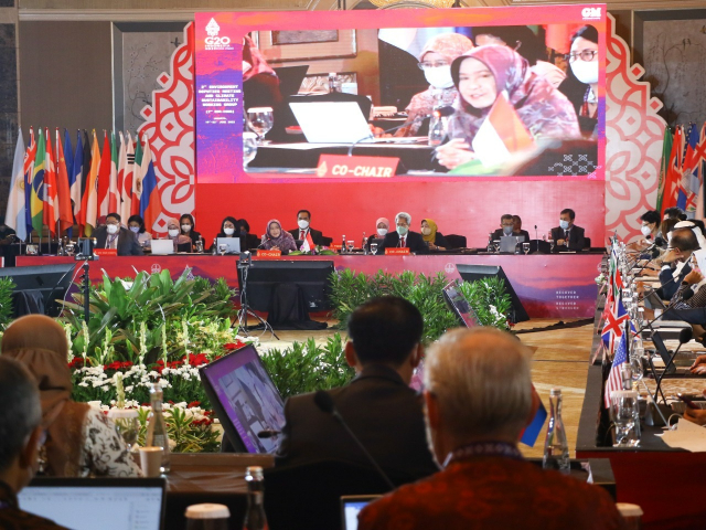 Indonesia Tunjukkan Kepemimpinan dalam Pengelolaan Lingkungan dan Pengendalian Perubahan Iklim di G20 EDM-CSWG