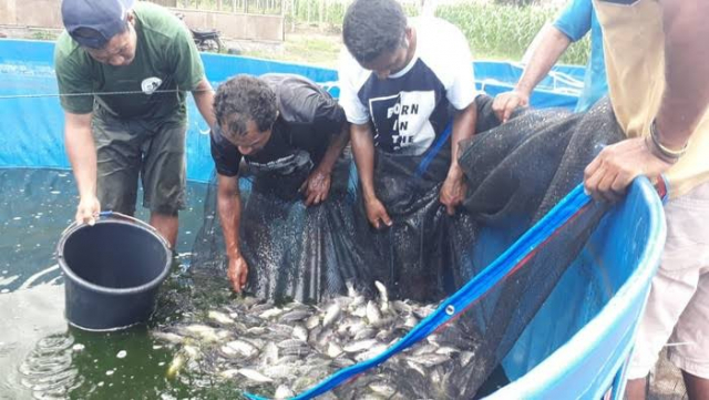 Meski Ikan Hasil Tangkapan Nelayan Melimpah, Stunting di Kawasan Pesisir Tetap Tinggi