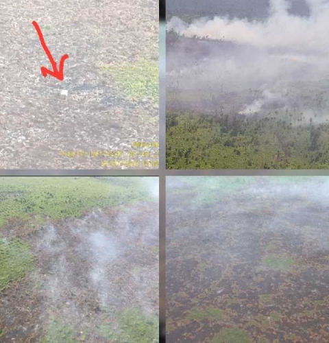 2 Ribu Hektar Lebih Lahan di Riau Terbakar dalam 7 Bulan, Ini Penampakannya dari Udara