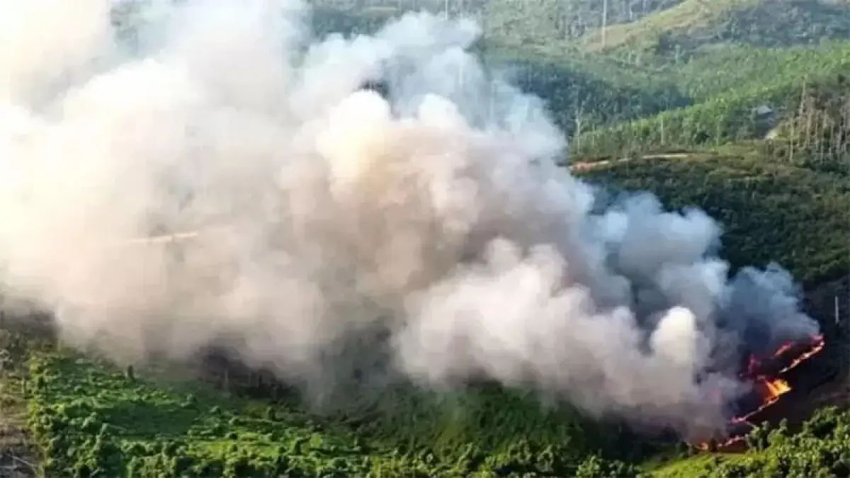 BMKG Deteksi 14 Titik Panas di Riau, Belasan Berada di Bengkalis