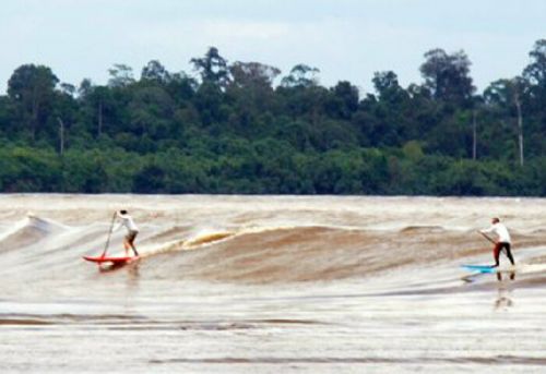 Banyak yang Belum Kenal, PGRI Pelalawan akan Promosikan Bono kepada Para Guru