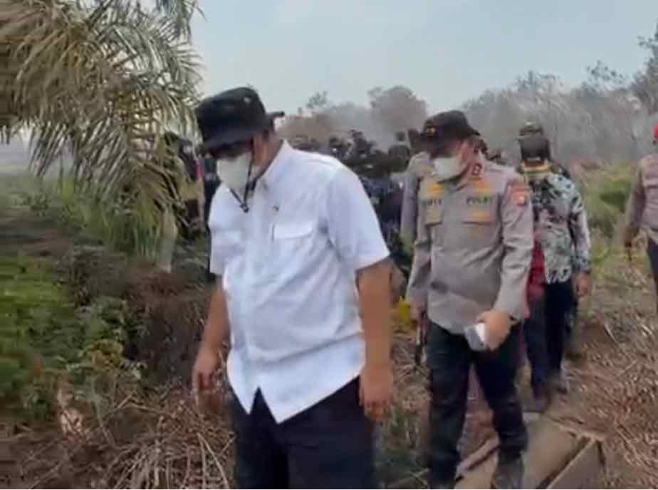 Menteri LH Tinjau Karhutla Kampar, 335 Perusahaan Konsesi Terindikasi Miliki Titik Api