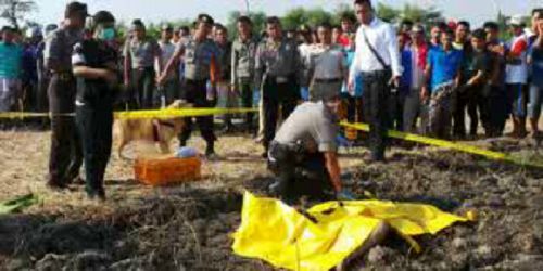 Setelah Diperkosa, Siswi SMP Dibunuh dan Dibuang di Sawah