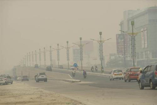 Pagi Ini, 211 Titik Panas Terdeteksi di Riau, Jarak Pandang Hanya 500 Meter