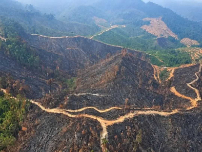 GoRiau Satgas Udara Lanud Rsn Sisir Bukit Gosong Bekas Karhutla di Kampar