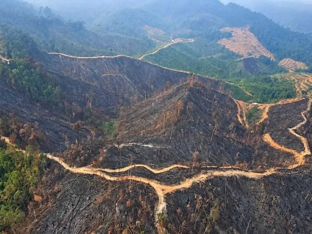 Satgas Udara Lanud Rsn Sisir Bukit Gosong Bekas Karhutla di Kampar