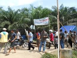 HGU PT TPP Diperpanjang, Masyarakat akan Lakukan Upaya Hukum
