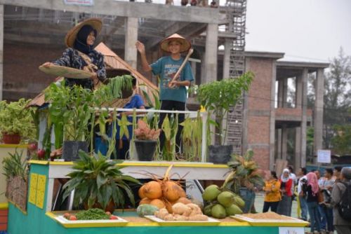 Ratusan Petani Ikuti Bengkalis Agricultural Carnaval