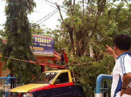 Antisipasi Gangguan Listrik, BUMD Minta Bantu Warga Bandar Petalangan Pangkas Pohon