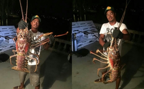 Nelayan Tak Sengaja Tangkap Monster dari Dasar Laut Segi Tiga Bermuda, Ini Penampakannya