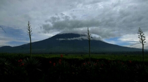 GoRiau Gunung Tertinggi di Sumatera Berstatus Siaga, Warga Dilarang Mendekat Radius 3 Kilometer
