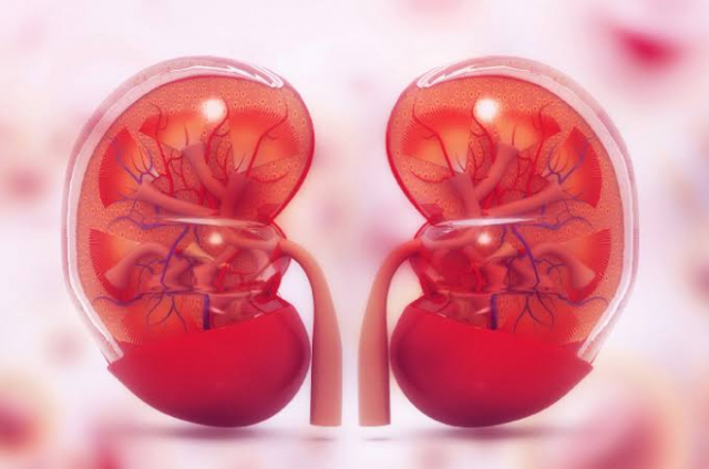 It is necessary to know, these 5 drugs are at risk of damaging the kidneys