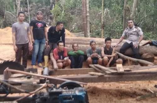 Garap Kayu di Hutan Konsesi PT RAPP, 4 Warga Diamankan Polisi