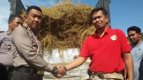Pengiriman 3 Ton Daging Babi Hutan dari Sumatera ke Jakarta untuk Oplos Daging Sapi Berhasil Digagalkan