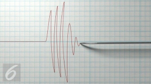 GoRiau Gempa 8,1 SR Guncang Alaska, Berpotensi Tsunami, Ini Wilayah yang Bakal Terdampak