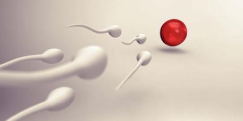 Rasa Cemas yang Berlebihan Bisa Turunkan Jumlah Sperma