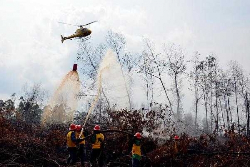 Diduga Sebabkan Kebakaran Lahan, 3 Orang Ditetapkan Jadi Tersangka oleh Polda Riau
