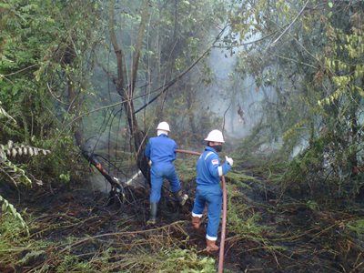 Hampir Setiap Hari Pasca Kunjungan Presiden, Tersangka Pembakar Lahan Riau Terus Bertambah