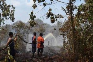 GoRiau Hujan Buatan Bakal Berakhir, Titik Api di Riau Bisa Meningkat
