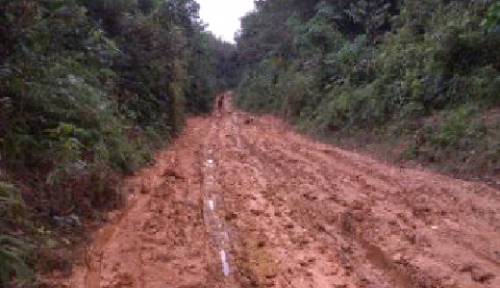 4 Km Jalan Poros Desa Tanjung Air Hitam Menuju Ibukota Kecamatan Kerumutan Hancur Lebur