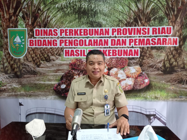 Ekspor CPO Dilarang, Petani Khawatir Harga Sawit Terjun Bebas, Ini Penjelasan Disbun Riau