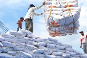 Lagi, Indonesia Impor 500.000 Ton Beras