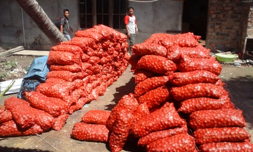 Kodim Bengkalis Amankan 300 Karung Bawang Merah Ilegal