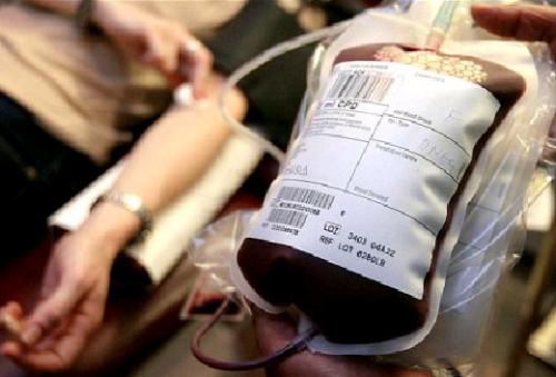 PMI Pelalawan Kesulitan Simpan Stok Darah