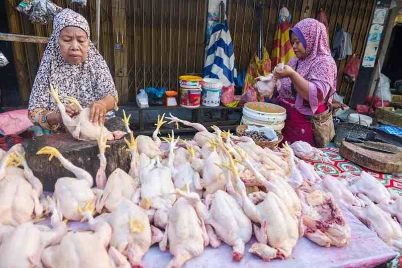 Akademisi Unri: Harga Ayam di Pekanbaru Lebih Mahal Dibandingkan Australia