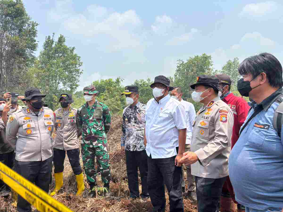 Asap Jambi Selimuti Riau, Menteri LH Kaji Opsi Liburkan Sekolah