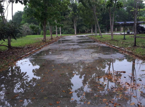 Hujan Guyur Kampung Rempak Siak Selama 50 Menit, Warga: Semoga Daerah Lain Menyusul