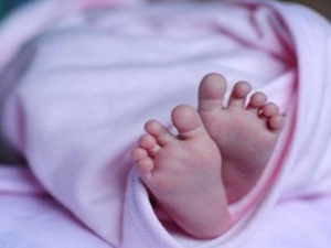 GoRiau Ibu Melapor ke Polisi Bayi Kembarnya Diculik, Ternyata Dilemparkannya ke Kolam