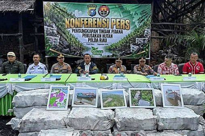GoRiau Polda Riau Gerebek Pabrik Arang Bakau Ilegal di Bengkalis, Ratusan Ton Mangrove Disita
