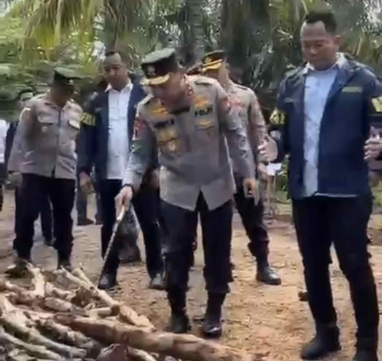 Polda Riau Gerebek Dapur Arang Ilegal di Bengkalis, 140 Ton Kayu Mangrove Disita