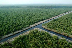 GoRiau APHI akan Rembug dengan Pemerintah Soal Nasib RAPP, Purwadi: Niatnya Baik, Tapi Terlalu Cepat Cabut RKU, Karena Ada 100 Perusahaan HTI di Lahan Gambut Indonesia