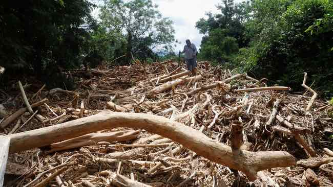 Tragedi Banjir Bandang Gunung Slamet, Rumah Warga Hancur Diterjang Material Kayu