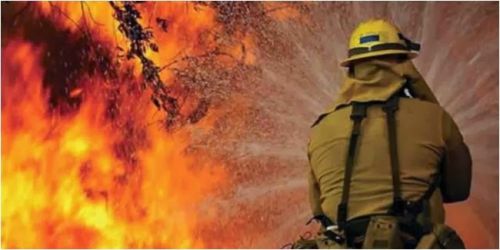 AS Siap Latih Polhut Riau untuk Atasi Karhutla