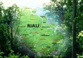 Pengesahan RTRW Riau Ngadat Gara-gara Kasus Annas Maamun dan Gulat Manurung