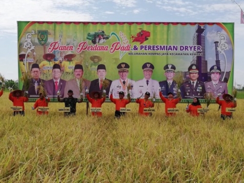 Miliki Lahan Pertanian Seluas 25.169 Hektare, Bupati Optimis Inhil Tetap Jadi Penyuplai Padi Terbesar di Riau