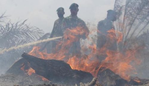 Wah, 45 Perusahaan Terindikasi Terlibat Pembakaran Hutan di Riau